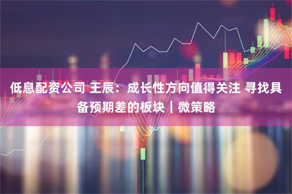 低息配资公司 王辰：成长性方向值得关注 寻找具备预期差的板块｜微策略